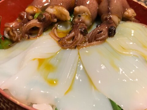 ご飯もお酒もすすむ、イカとホタルイカの２色丼